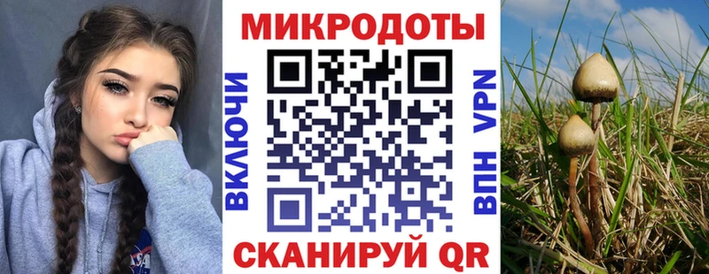 как найти наркотики  Сорочинск  Псилоцибиновые грибы MAGIC MUSHROOMS 