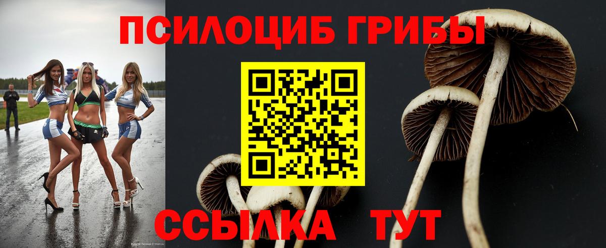 Псилоцибиновые грибы мухоморы Сорочинск