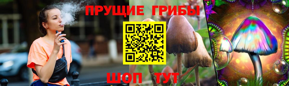 Сорочинск  Псилоцибиновые грибы MAGIC MUSHROOMS  Вход с VPN  Галлюциногенные грибы мицелий 